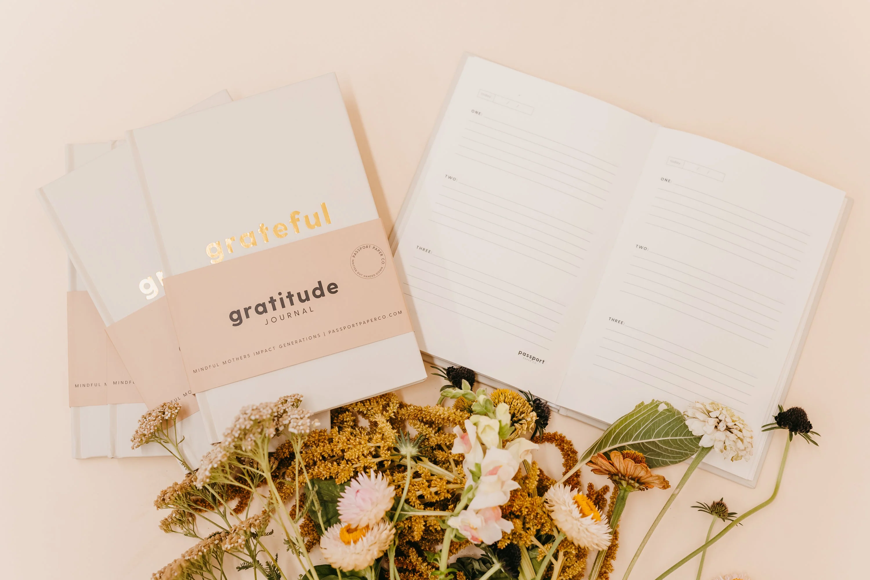 GRATITUDE JOURNAL - MINDFUL MOTHERS IMPACT GENERATIONS - Image 3